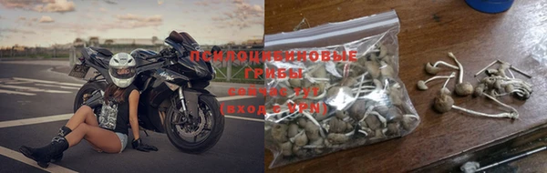 стаф Абдулино