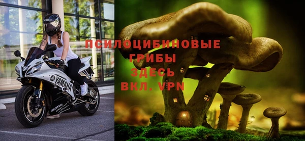 мескалин Абаза