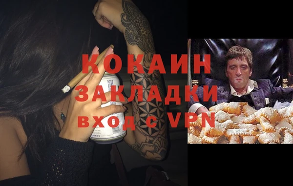 прущие грибы Нягань