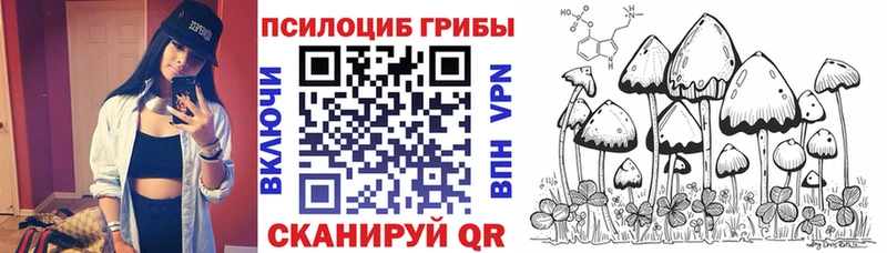 Галлюциногенные грибы MAGIC MUSHROOMS  где купить наркотик  Струнино 